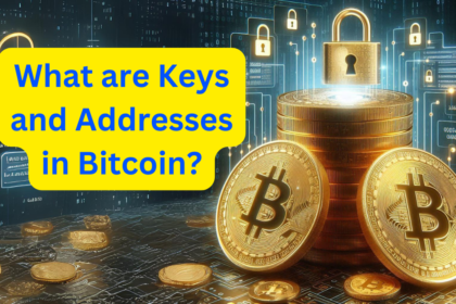 What are Keys and Addresses in Bitcoin